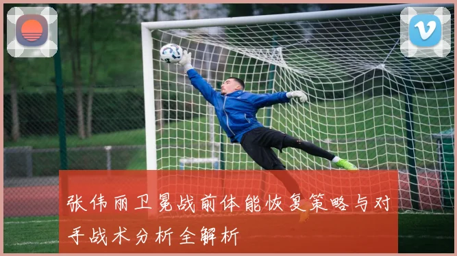 张伟丽卫冕战前体能恢复策略与对手战术分析全解析
