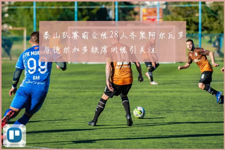 泰山队赛前合练28人齐聚阿尔瓦罗与德尔加多缺席训练引关注